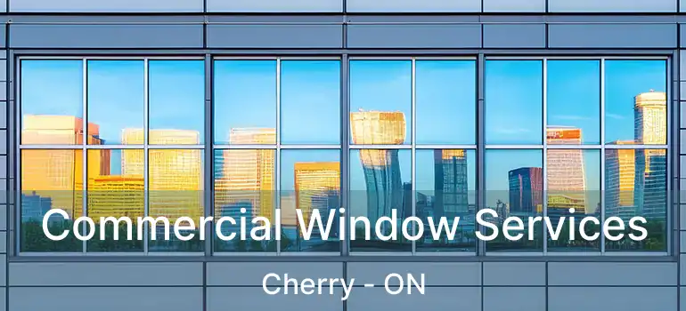  Commercial Window Services Cherry - ON