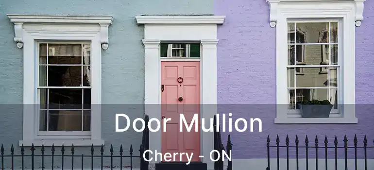  Door Mullion Cherry - ON
