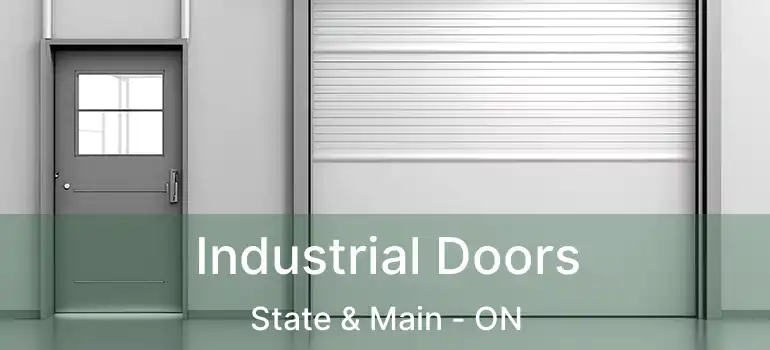  Industrial Doors State & Main - ON