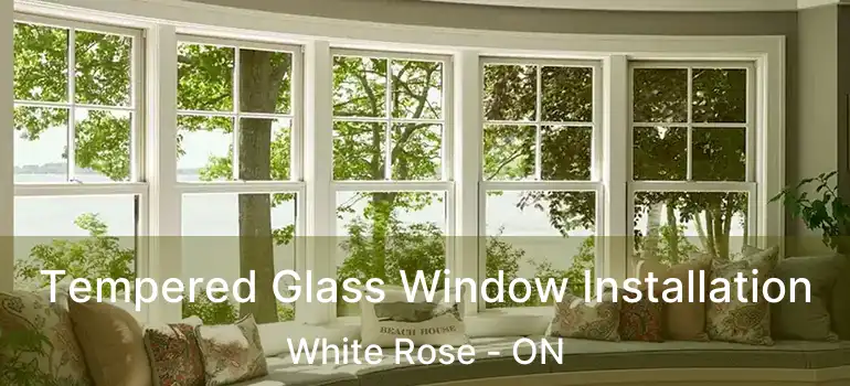  Tempered Glass Window Installation White Rose - ON
